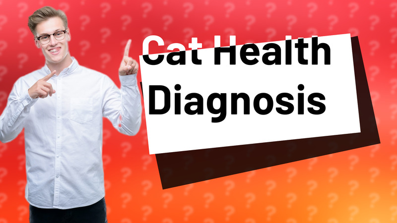 Cat Health Diagnosis