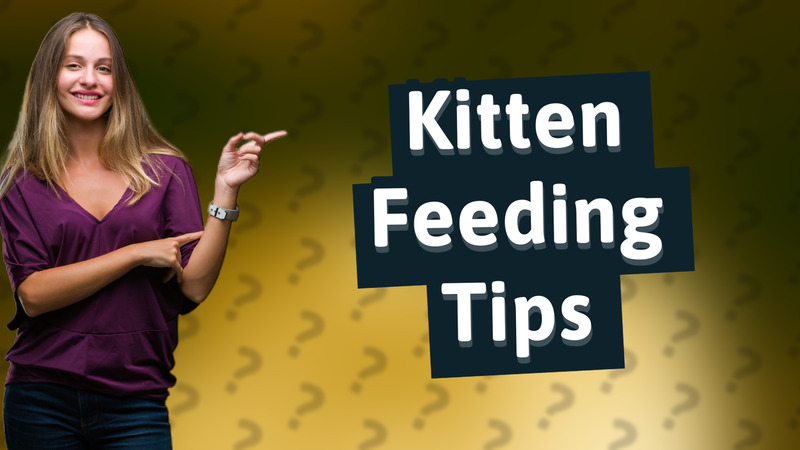 Kitten Feeding Tips