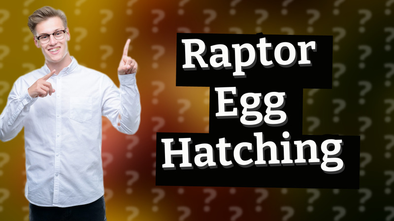 Raptor Egg Hatching