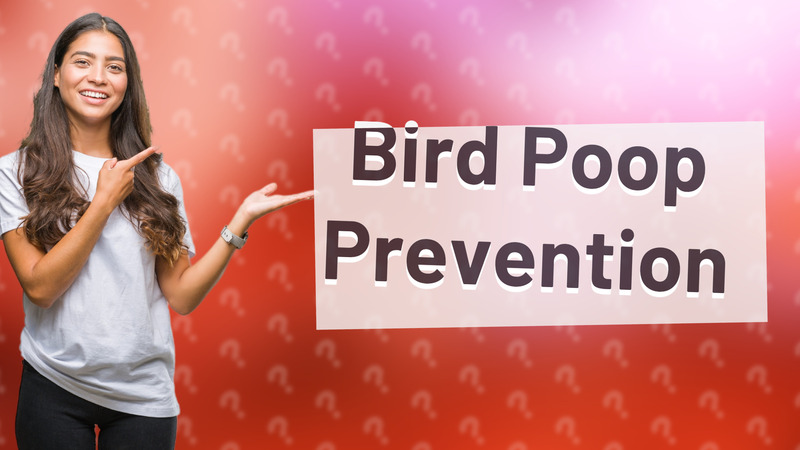 Bird Poop Prevention
