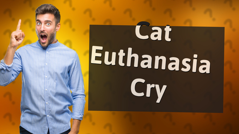 Cat Euthanasia Cry