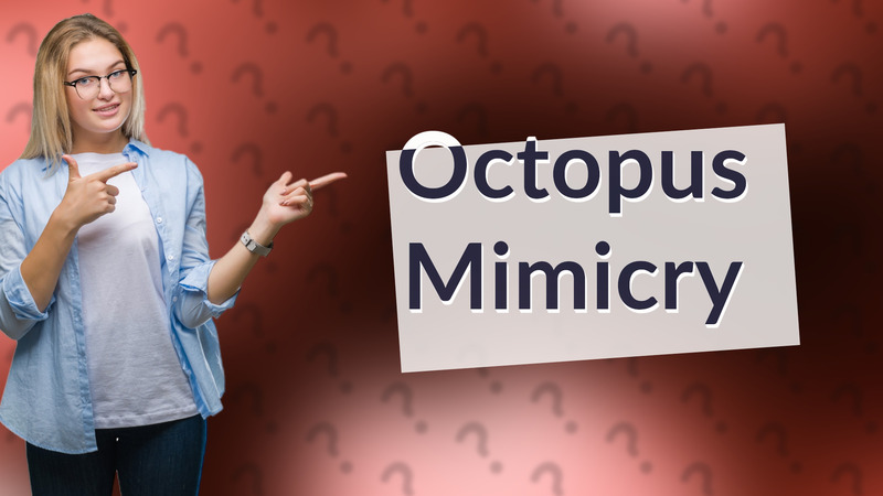 Octopus Mimicry