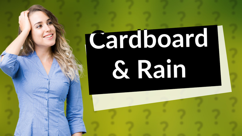Cardboard & Rain
