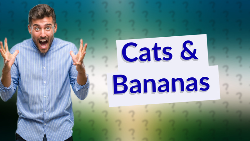 Cats & Bananas