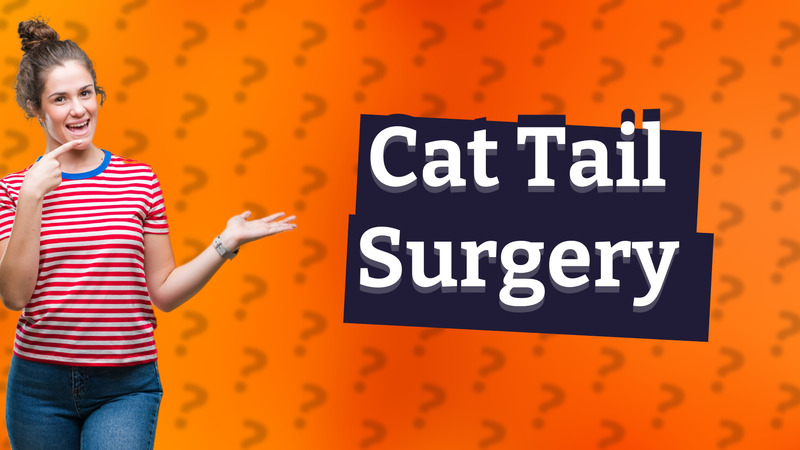 Cat Tail Surgery