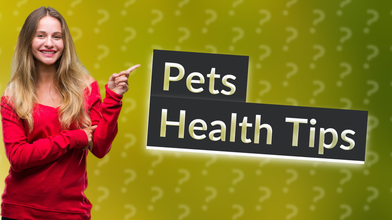Pets Health Tips