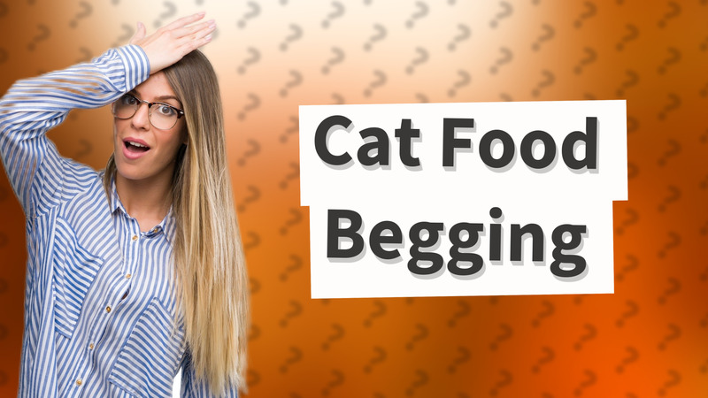 Cat Food Begging