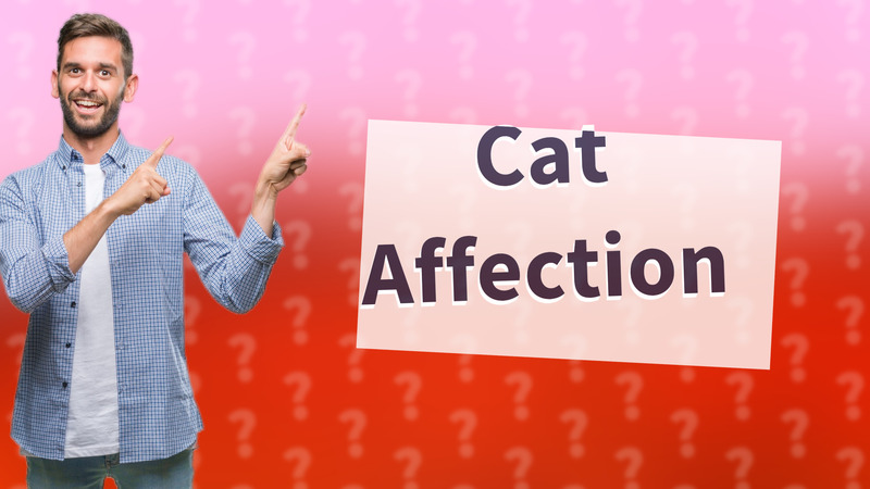 Cat Affection