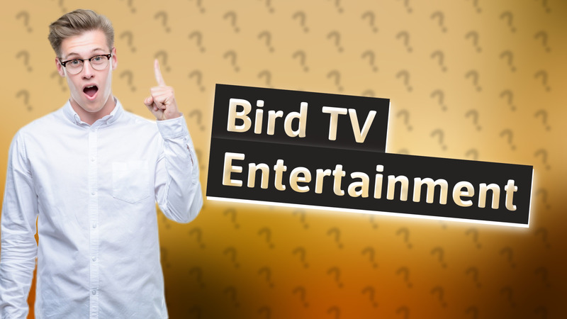 Bird TV Entertainment