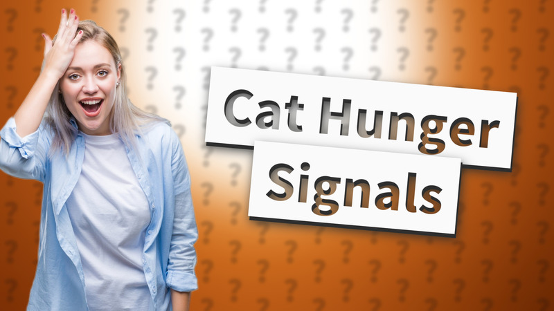 Cat Hunger Signals