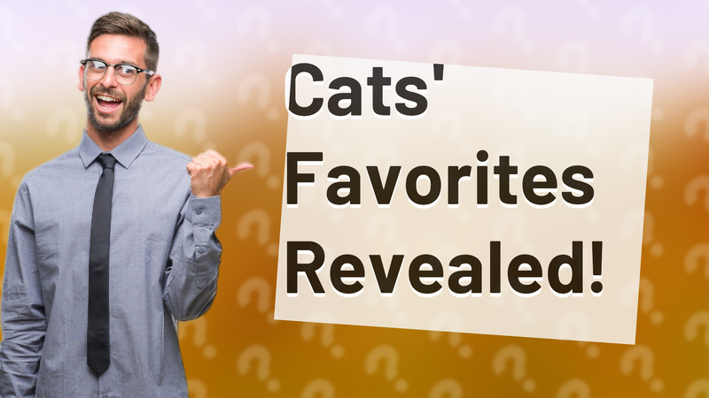 Cats' Favorites Revealed!