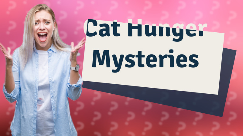 Cat Hunger Mysteries