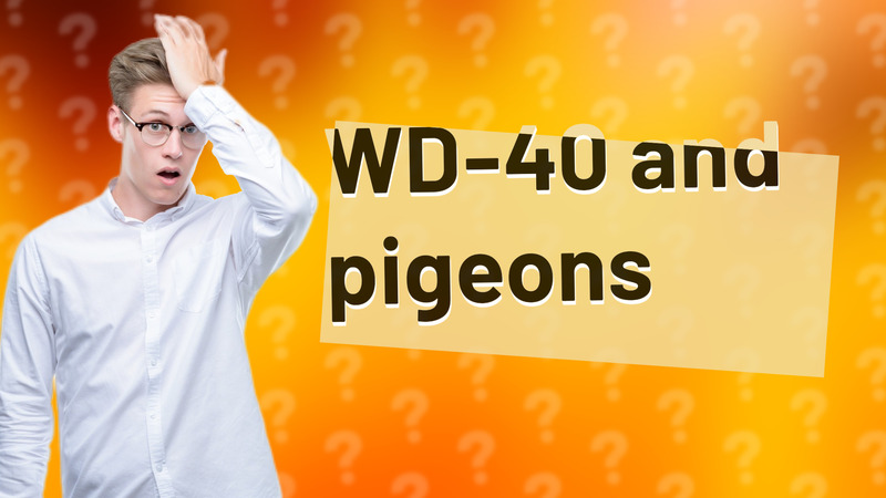 WD-40 and pigeons