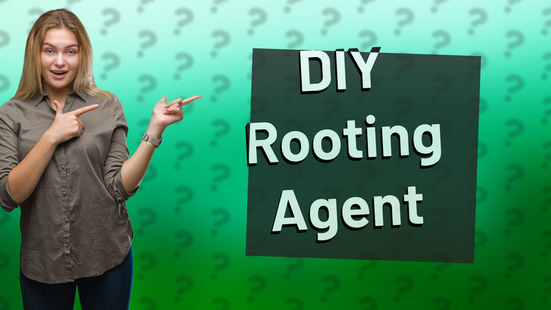 DIY Rooting Agent
