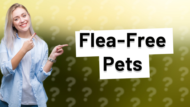 Flea-Free Pets