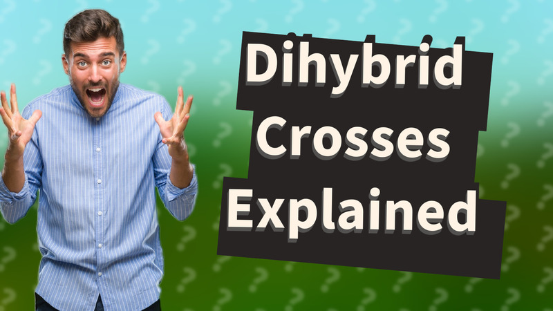 Dihybrid Crosses Explained