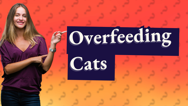 Overfeeding Cats