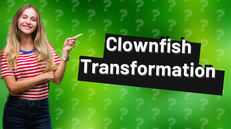 Clownfish Transformation