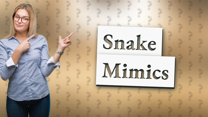 Snake Mimics