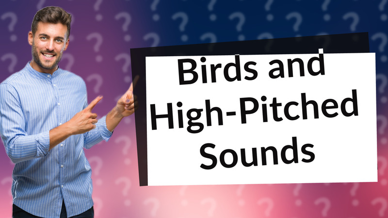 Birds and High-Pitched Sounds