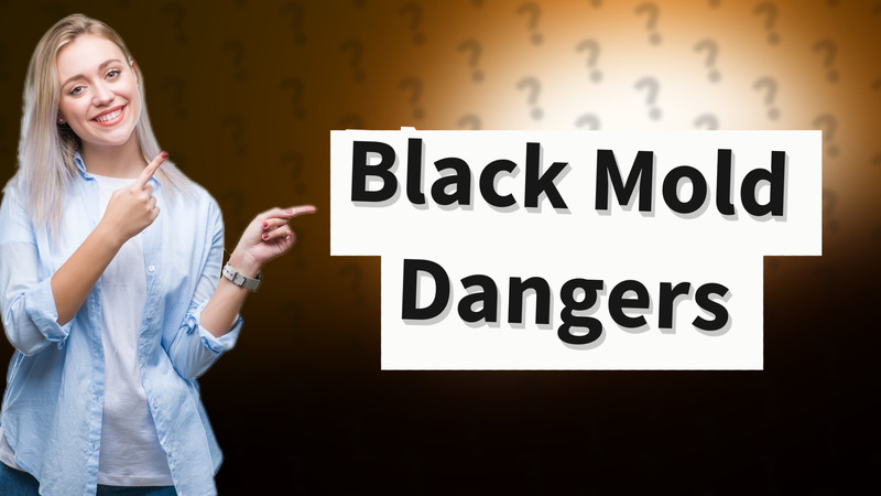 Black Mold Dangers