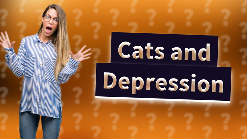 Cats and Depression