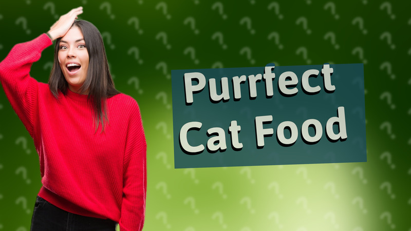 Purrfect Cat Food