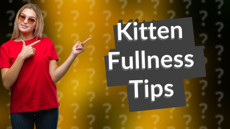 Kitten Fullness Tips