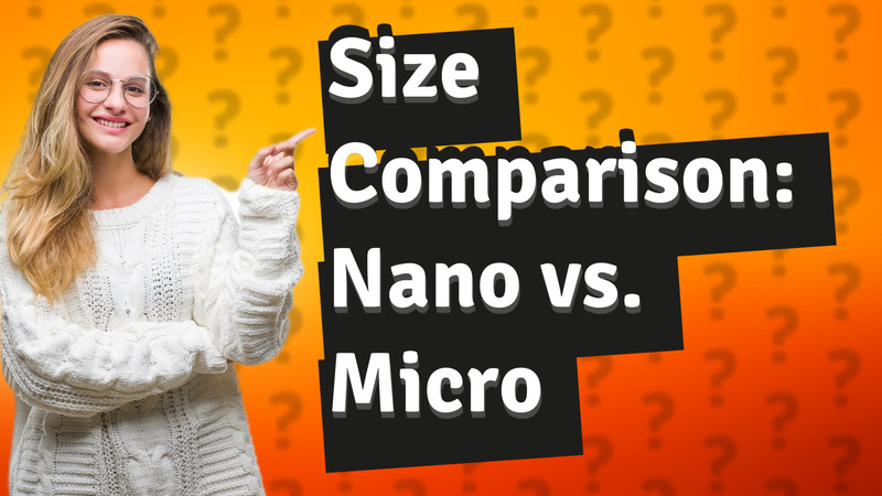 Size Comparison: Nano vs. Micro