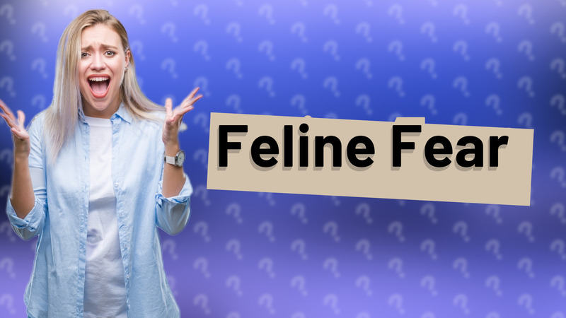 Feline Fear