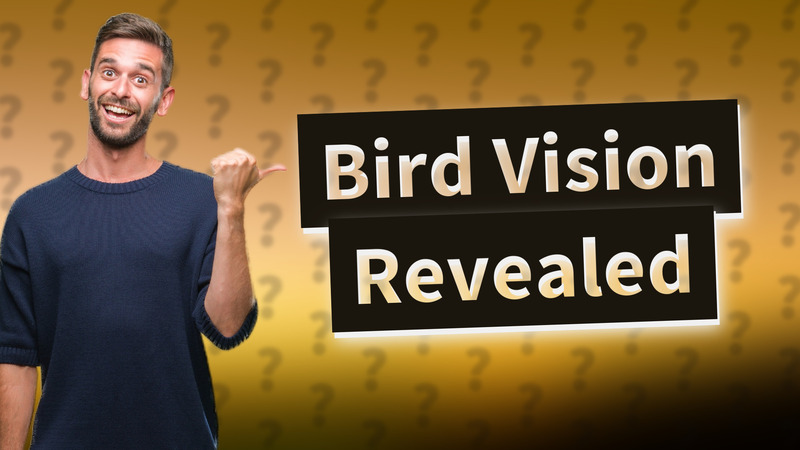 Bird Vision Revealed