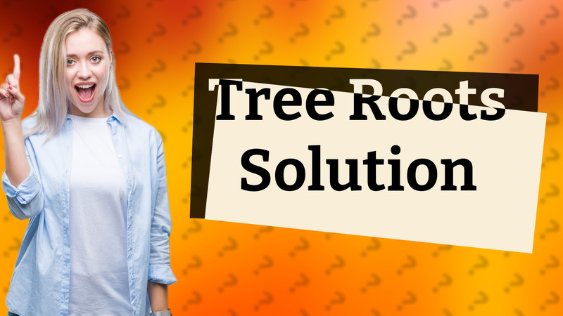 Tree Roots Solution