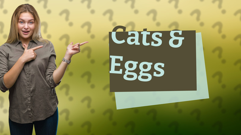 Cats & Eggs