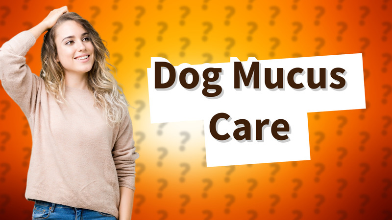 Dog Mucus Care