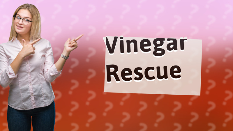 Vinegar Rescue