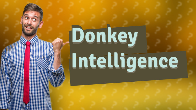 Donkey Intelligence