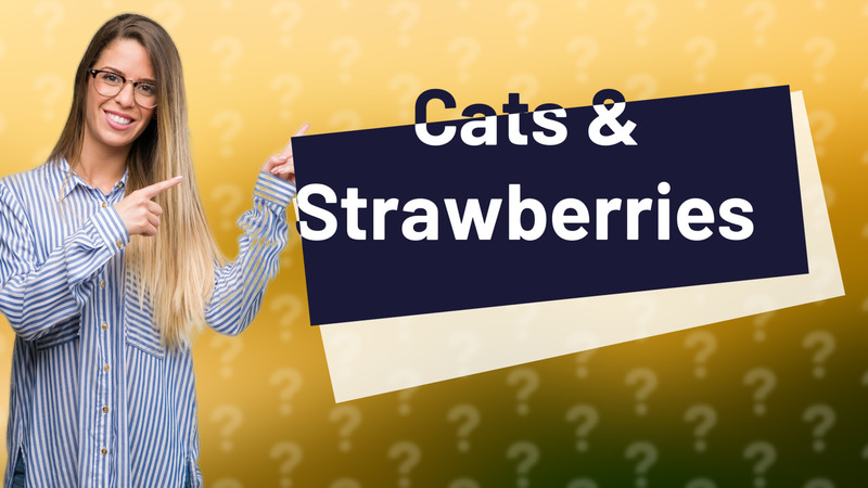 Cats & Strawberries