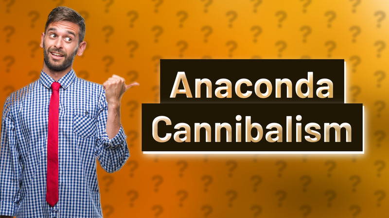 Anaconda Cannibalism