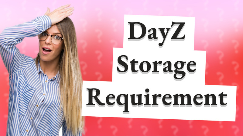 DayZ Storage Requirement