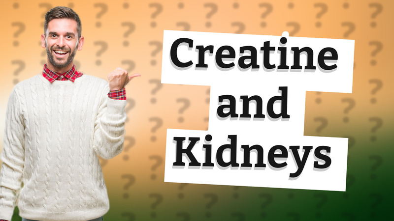Creatine and Kidneys