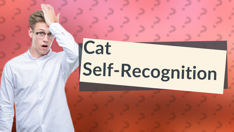 Cat Self-Recognition