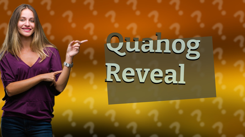 Quahog Reveal