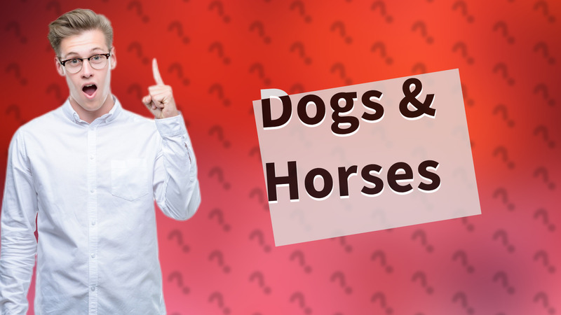Dogs & Horses