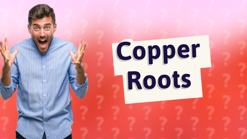 Copper Roots