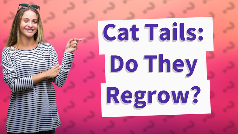 Cat Tails: Do They Regrow?