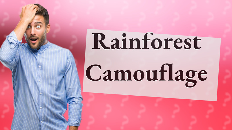 Rainforest Camouflage