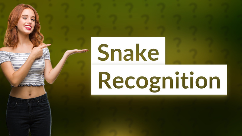 Snake Recognition