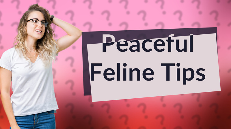 Peaceful Feline Tips