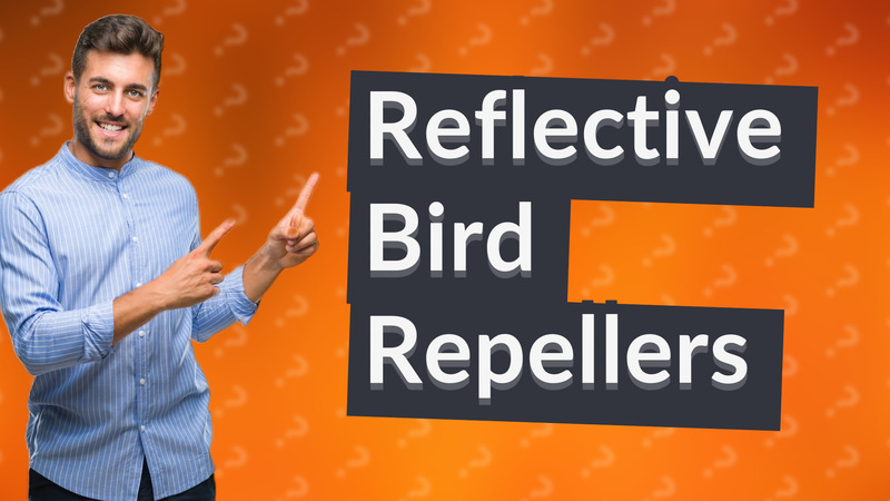 Reflective Bird Repellers