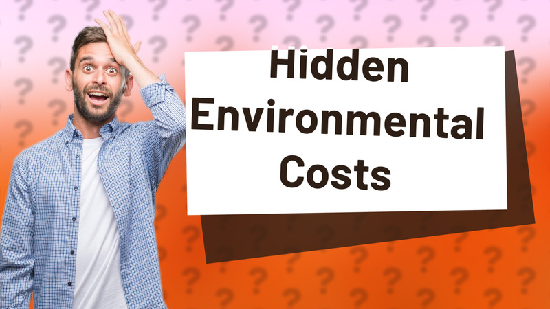 Hidden Environmental Costs
